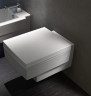 Унитаз подвесной Jacob Delafon Terrace (EDA102-00)