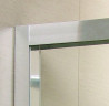 Душові двері Radaway Premium Plus DWD 160 (33363-01-01N)