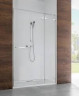 Душові двері Radaway Euphoria DWJ 110R, праві (383015-01R)