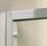 Душові двері Radaway Premium Plus DWJ 140 (33323-01-01N)