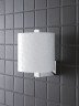 Держатель для запасного рулона Grohe Selection Cube (40784000)