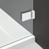 Душова стінка Radaway Walk-In Euphoria III W3 100 (383132-01-01)