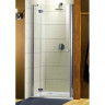 Душові двері Radaway Torrenta DWJ 120L, ліві (31930-01-01N)