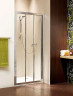 Душові двері Radaway Treviso DW 80 (32313-01-01N)