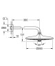 Верхний душ Grohe Euphoria SmartControl (26458000)