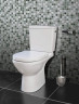 Унітаз компакт Villeroy&Boch O.Novo (566110R1)
