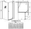 Душевая кабина Radaway Torrenta KDJ, левая, 100x90 (32240-01-01NL)