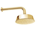 Верхний душ Bugnatese Olympia (RICDO99302)