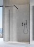 Душевая стенка Radaway Walk-In Modo New Black III 145 (389145-54-01)