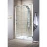 Душевые двери Radaway Espera DWJ 160R, правые (380116-01R)