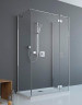 Душевая стенка Radaway Essenza New/Fuenta New KDJ S1 110 (384053-01-01)