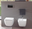 Биде напольное Villeroy&Boch Venticello (441200R1)
