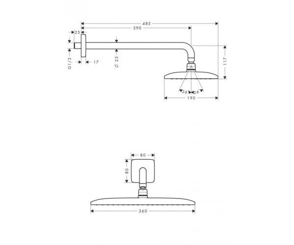 Верхний душ Hansgrohe Raindance (27376000)