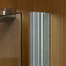 Душові двері Radaway Carena DWJ 120R, праві (34332-01-01NR)