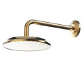 Верхний душ Toto Classic (DBX120CAMPG)