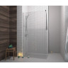 Душові двері Radaway Dolphi Walk-In 120 (390120-01-01)
