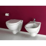 Унитаз подвесной Villeroy&Boch O.Novo (566010R1)