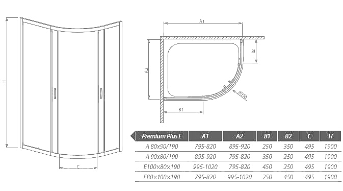Душова кабіна Radaway Premium Plus, 100x80 (30491-01-01N)
