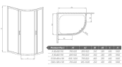 Душова кабіна Radaway Premium Plus, 100x80 (30491-01-01N)